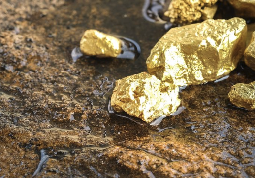 Danantara Gold Bar 50g